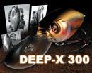 DEEP-X 300