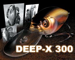 DEEP-X 300