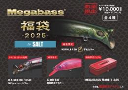 ★Megabass 2025年 メガバス福袋「巳」for SALT